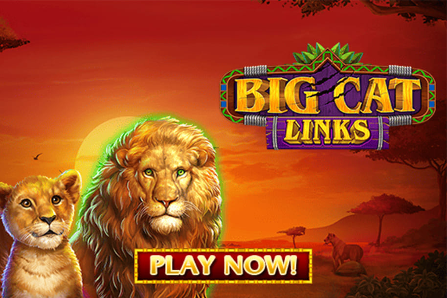Big Cat Links slot game featuring a majestic lion and its cub against a vibrant African savanna sunset, with a 'Play Now' button. Visit the Eternal Slots blog for reviews and insights on animal-themed slots like Big Cat Links, offering exciting gameplay and roaring rewards.